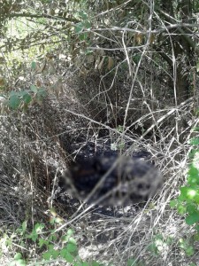 20150531aw429993-01,vdjX9UO4G02HgArI0SpBHQ