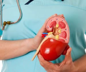 bobrekler-icin-sifali-bitkiler