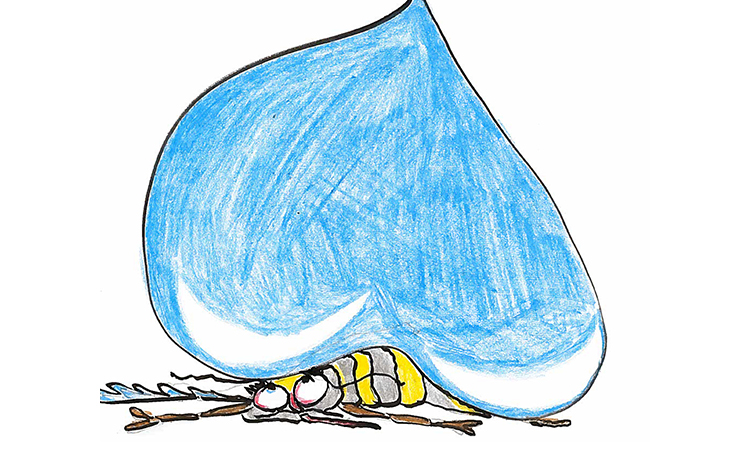 Dergi - Sivrisineğin uçmasına yağmur engel oluyor mu?