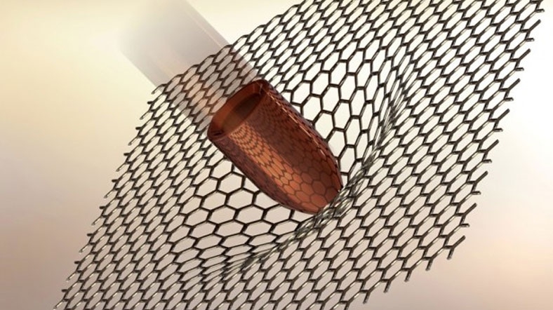 Dünya'nın nüfusu 10 milyar ulaştığında bunlar olacak