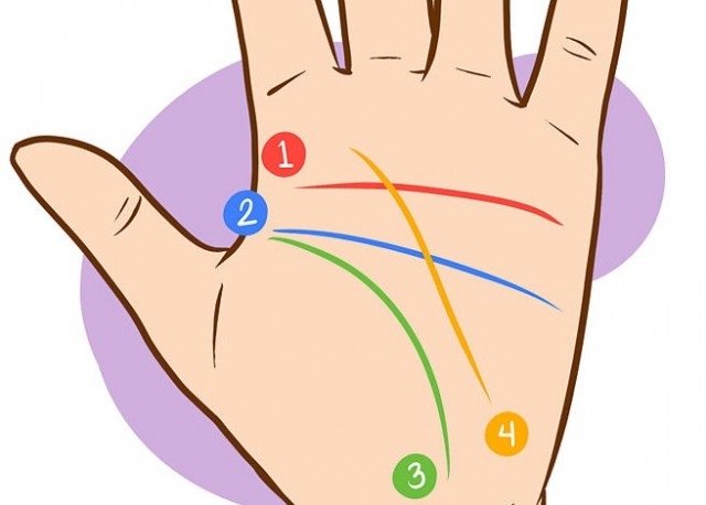 Karakter Analizi : Kalp Çizginiz Karakterinize Dair Ne Söylüyor?