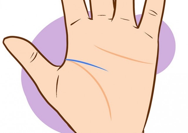 Karakter Analizi : Kalp Çizginiz Karakterinize Dair Ne Söylüyor?