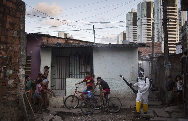 Could Zika virus be death knell for the Olympics? Could Zika virus be death knell for the Olympics?