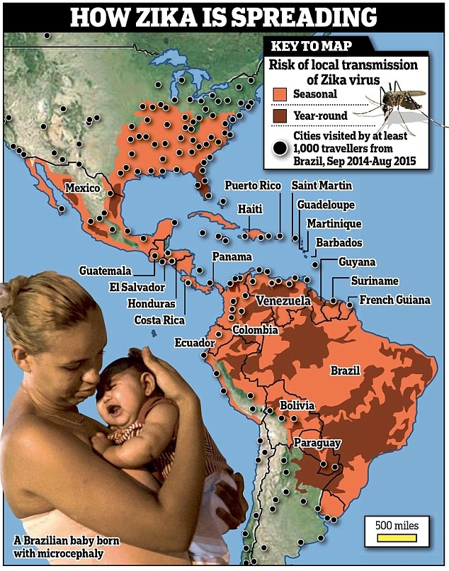 Could Zika virus be death knell for the Olympics? Could Zika virus be death knell for the Olympics?