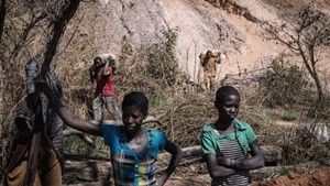 Dünya'dan Türkiye'den gelişmeleri haber merkezlerinden size aktarıyoruz