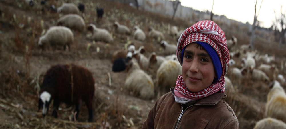 Savaşın beşinci yılında Suriye'den geriye kalanlar 'İstatistikler' Savaşın beşinci yılında Suriye'den geriye kalanlar 'İstatistikler'