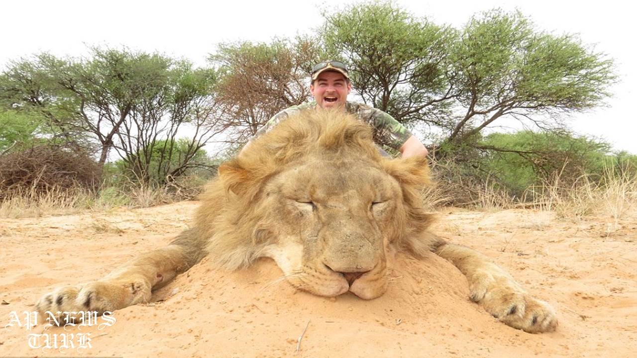 Lion is the tastiest meat I've ever eaten apart from giraffe