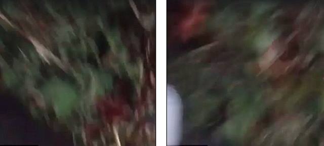 Terrifying moment a Chicago 'gang member', 28, unwittingly streams his own shooting death on Facebook