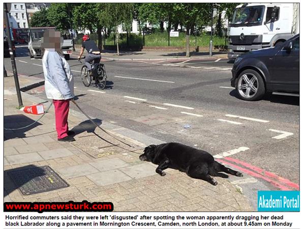 Woman caught on camera appearing to drag dead dog on lead along street