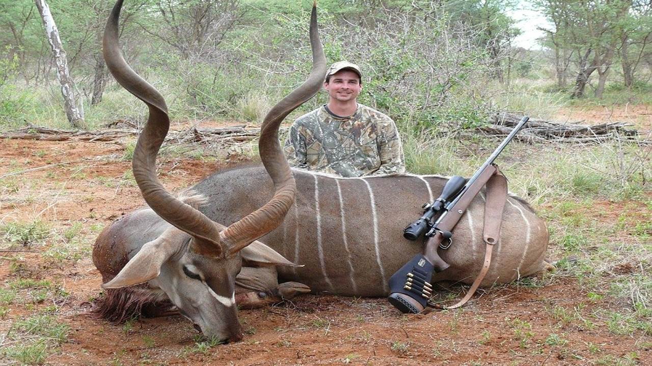 Lion is the tastiest meat I've ever eaten apart from giraffe