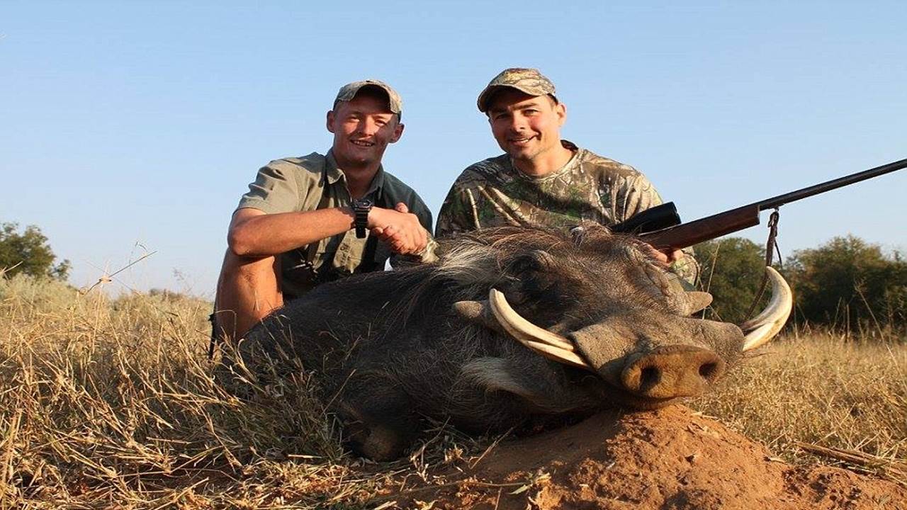 Lion is the tastiest meat I've ever eaten apart from giraffe