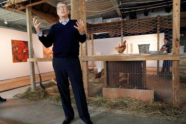Microsoft billionaire Bill Gates says poor people should raise chickens if they want to improve their lives