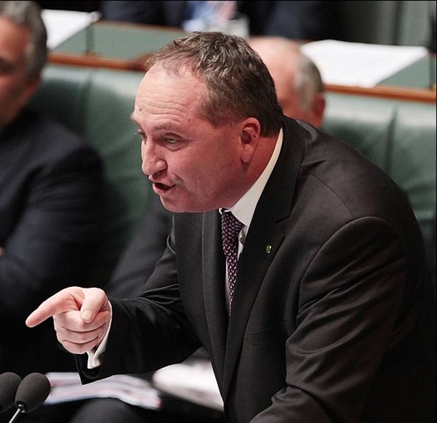 Horrific footage shows: Australian cattle being bludgeoned to death in Vietnam