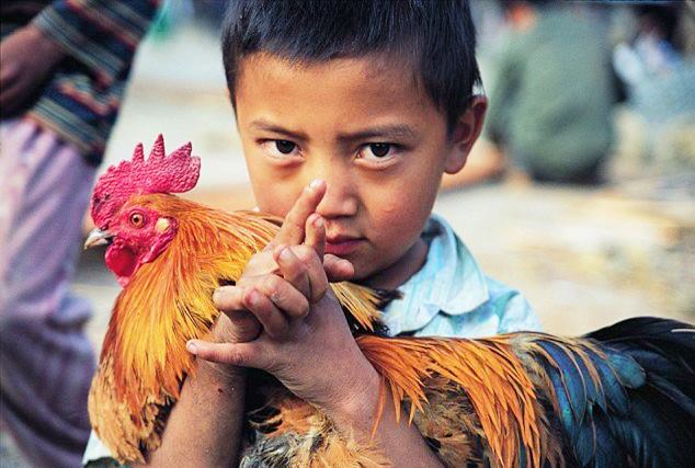 Microsoft billionaire Bill Gates says poor people should raise chickens if they want to improve their lives