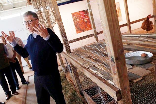 Microsoft billionaire Bill Gates says poor people should raise chickens if they want to improve their lives