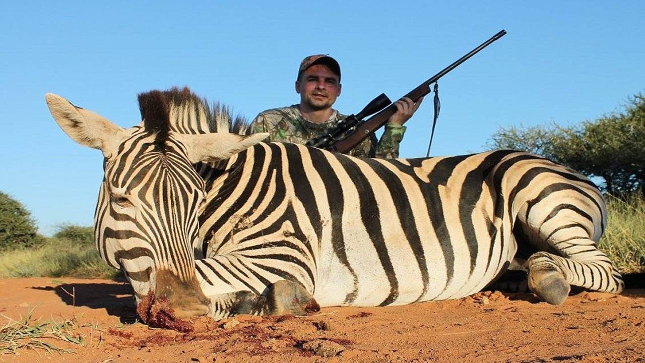 Lion is the tastiest meat I've ever eaten apart from giraffe