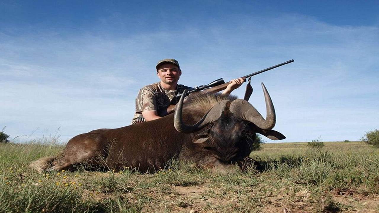 Lion is the tastiest meat I've ever eaten apart from giraffe