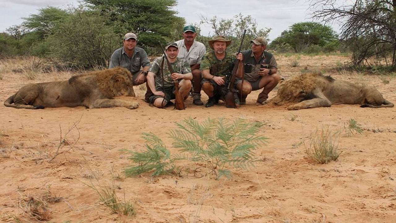 Lion is the tastiest meat I've ever eaten apart from giraffe