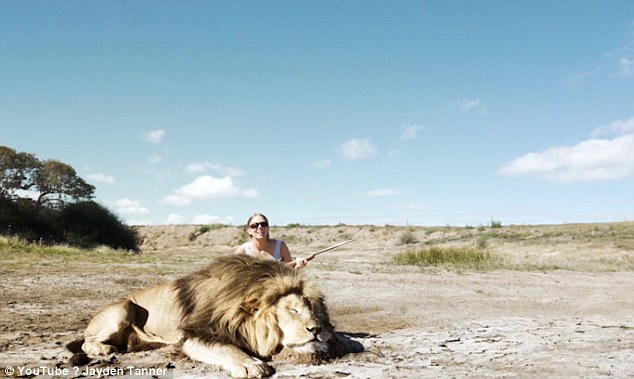 Lion Takes Revenge On Trophy Hunter: Lion takes its revenge on trophy hunter but viewers are skeptical