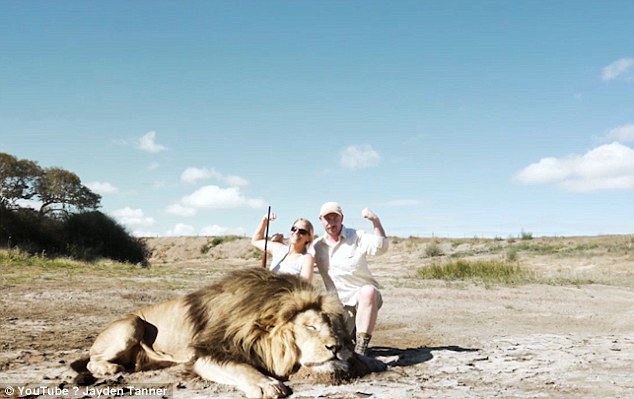 Lion Takes Revenge On Trophy Hunter: Lion takes its revenge on trophy hunter but viewers are skeptical