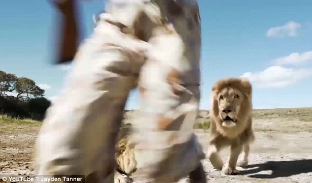 Lion Takes Revenge On Trophy Hunter: Lion takes its revenge on trophy hunter but viewers are skeptical