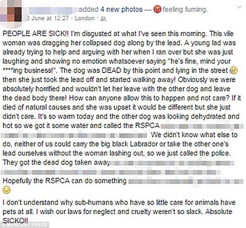 Woman caught on camera appearing to drag dead dog on lead along street