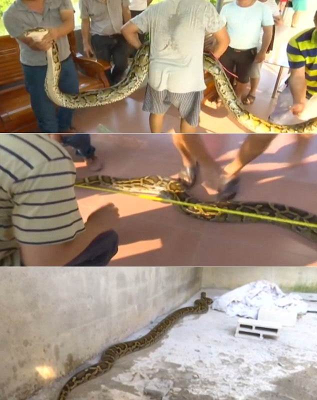 World News: interesting news headlines and videos