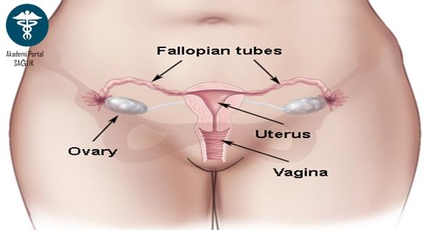 Lipedema: Ağrılı Yağlanma Sendromu 