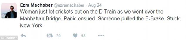 Description of Event: A woman freaks out on the subway and throws live crickets