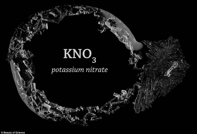 Science: Macro-timelapse footage captures the process in stunning detail