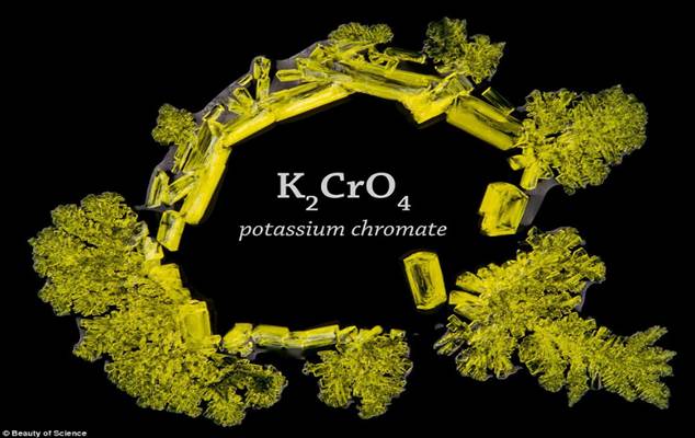 Science: Macro-timelapse footage captures the process in stunning detail