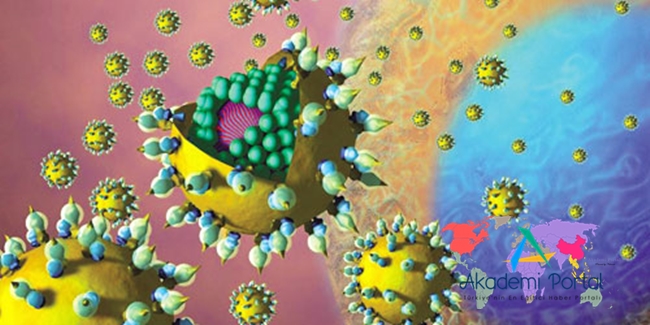 hepatit-c-tedavi-virus