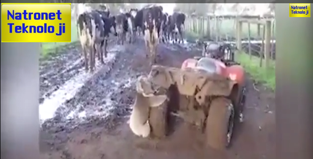 capture-20150819-050333