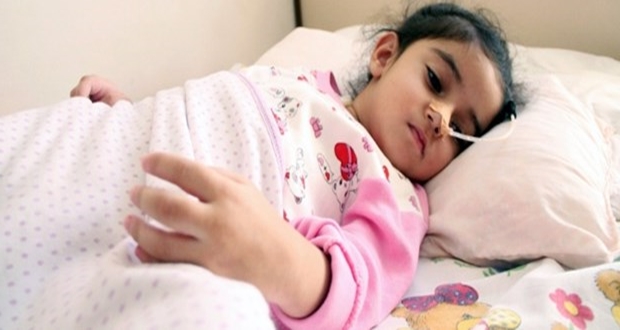 yedigi-erik-hayatini-