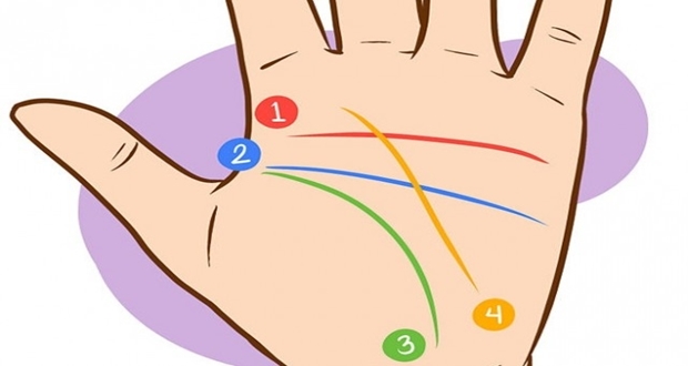 Karakter Analizi : Kalp Çizginiz Karakterinize Dair Ne Söylüyor? Karakter Analizi : Kalp Çizginiz Karakterinize Dair Ne Söylüyor?