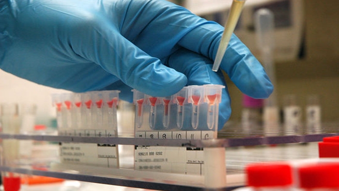 Kan gruplarının oluşumunu hiç merak ettiniz mi?