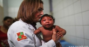 Avrupa Hastalık Önleme ve Kontrol Merkezi'nden Romit Jain, Almanya ve İngiltere'de de Zika virüsü vakalarına rastlandığını söyledi.