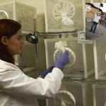 Zika virüsü: 'Virüs Dünya Üzerinde Büyük Bir Salgına Dönüşebilir'