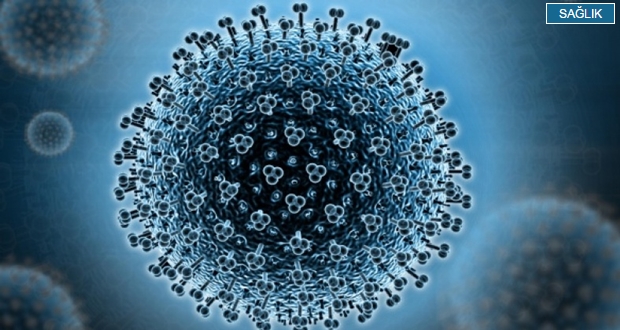 Domuz gribi hızla yayılıyor “20 milyon kişi risk grubunda”