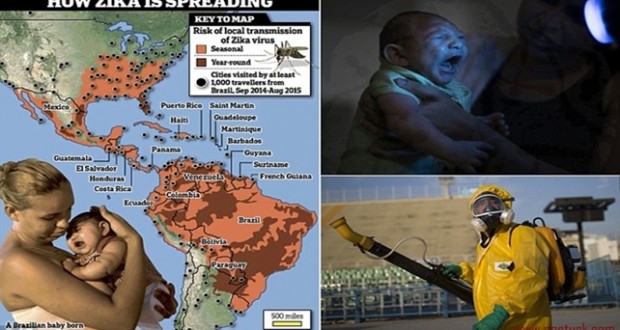 Zika virüsü Dünya Sağlık Örgütünü harekete geçirdi