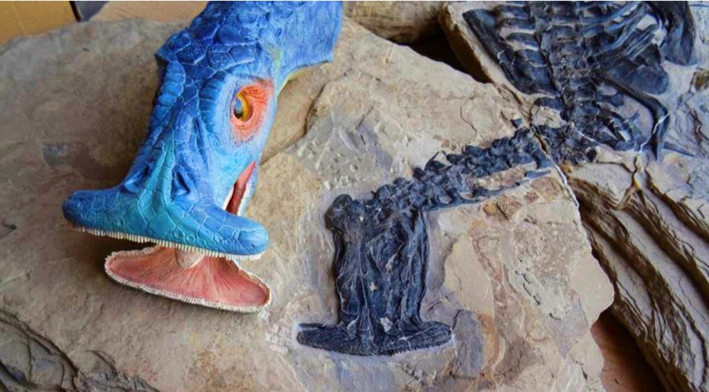 Evrim Teorisi’ne Yeni Bakış Açısı 'ihtiyozorların geçirdiği evrim'