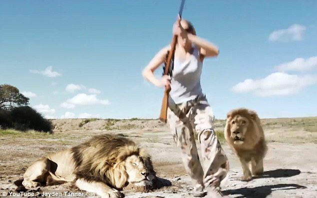 Lion Takes Revenge On Trophy Hunter: Lion takes its revenge on trophy hunter but viewers are skeptical
