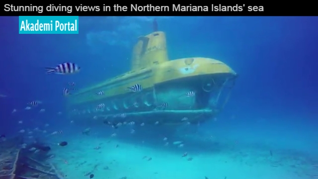 Stunning diving views in the Northern Mariana Islands' sea Stunning diving views in the Northern Mariana Islands' sea