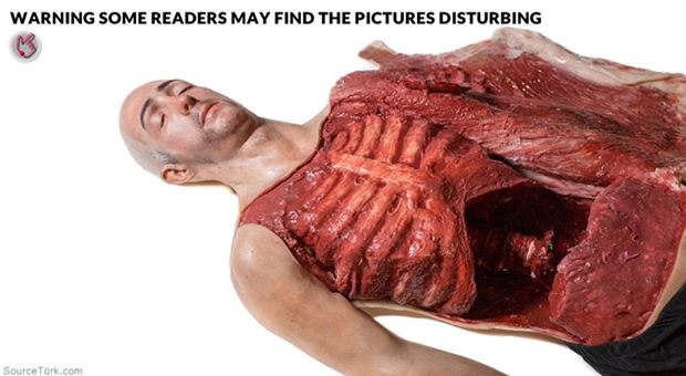 Science: Creepy human replica could train future surgeons