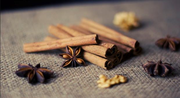 Vücudu yağlanmaya karşı koruyabilen Defnegiller familyası