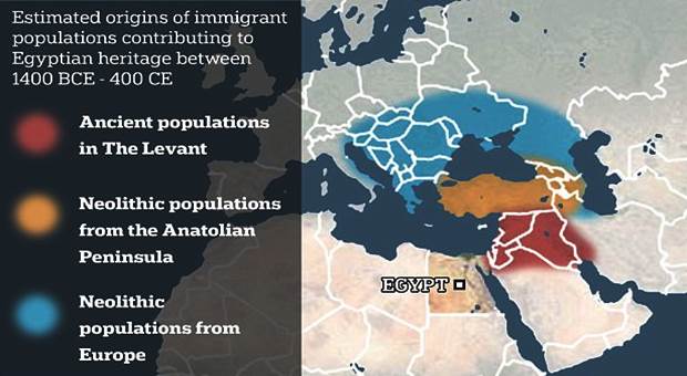 The first ever full-genome analysis of Ancient Egyptians shows they were more Turkish and European than African