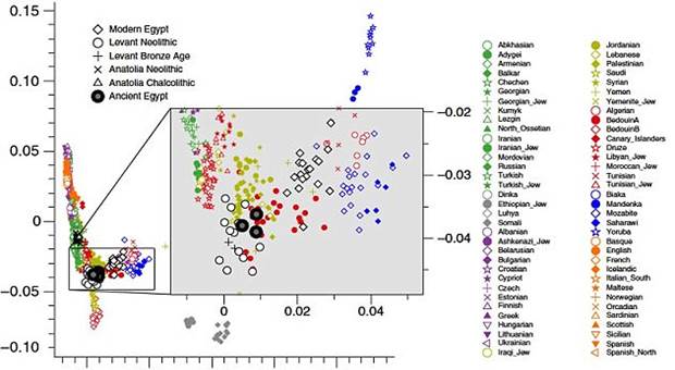 The first ever full-genome analysis of Ancient Egyptians shows they were more Turkish and European than African