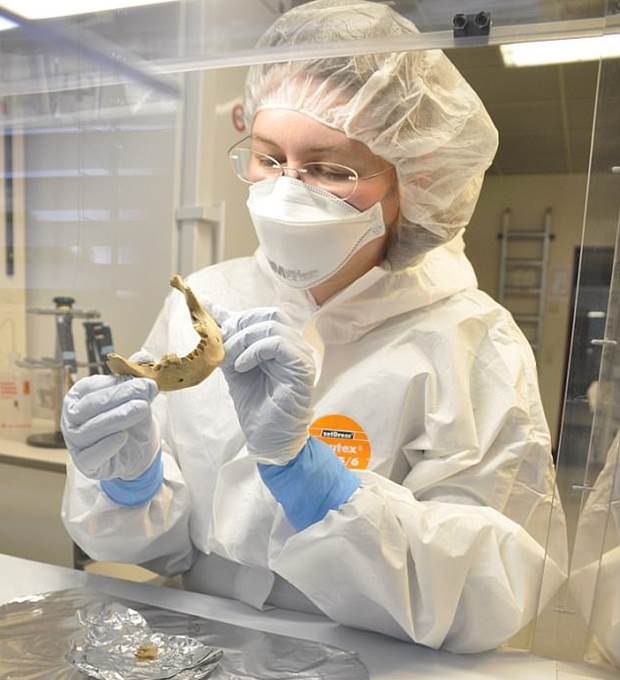 The first ever full-genome analysis of Ancient Egyptians shows they were more Turkish and European than African