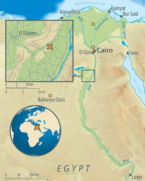 The first ever full-genome analysis of Ancient Egyptians shows they were more Turkish and European than African