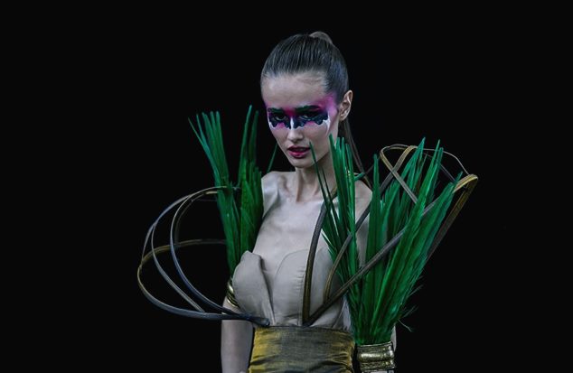 World Bodypainting Festival 2017 Videos And Pictures